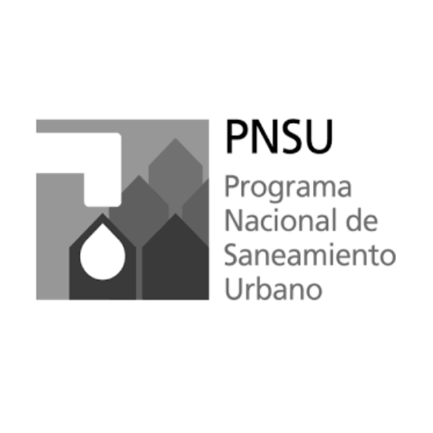 pnsu